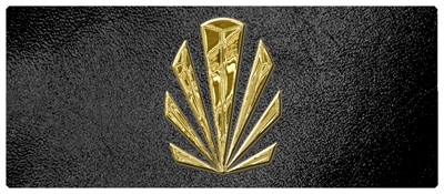 DNSEMP-L-602-GD-SH-BK Gold Sunburst Shimmer Black